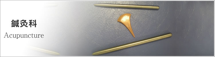 鍼灸科